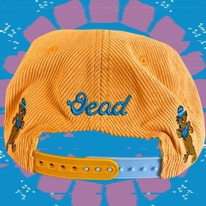 Corduroy Trucker Hat Grateful Dead Cap Bears  Deadhead Steal your face Snapback